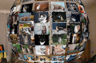 3D photo gallery