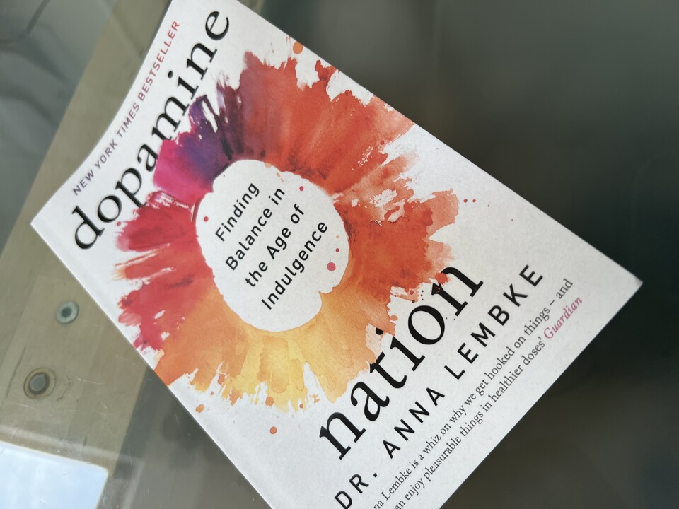 Dopamine Nation Book Review